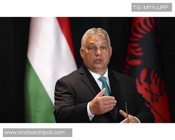 专访李丽：探寻她在篮球领域取得成功的秘诀与心路历程