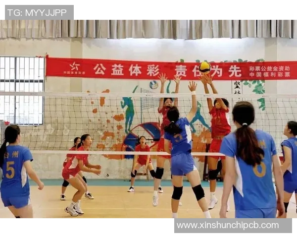 杭州排球队的阵地战揭秘：深度解析排球战术与团队协作