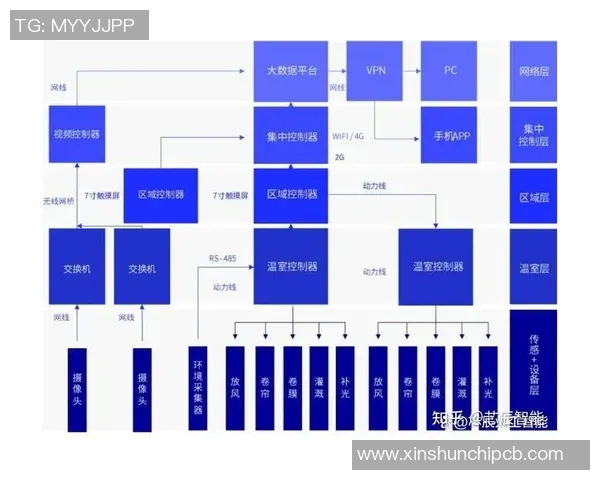 数据驱动决策：如何利用数据提升业务效益