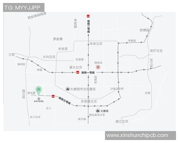 西安篮球队实力分析与发展潜力探讨之路